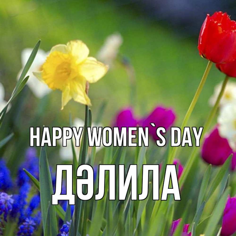 Greetings card с именем, ДӘЛИЛА happy women`s day международный женский день 3 Greetings with text for free download 